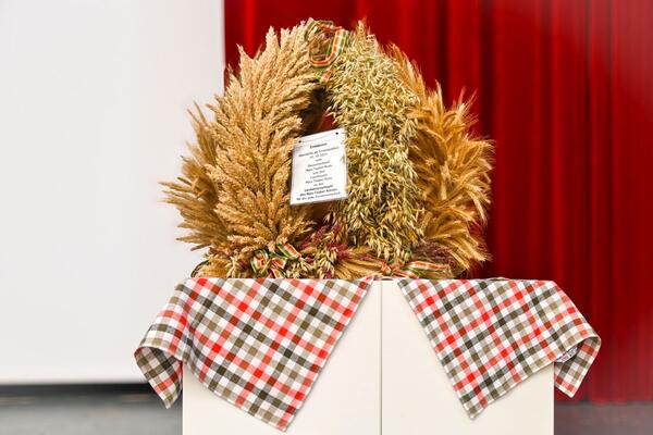 Bild vergr&ouml;&szlig;ern: Das Foto zeigt die Erntekrone im Kreistag: Die traditionsreiche Auszeichnung wurde dem Gremium im Rahmen der Kreistagssitzung präsentiert.