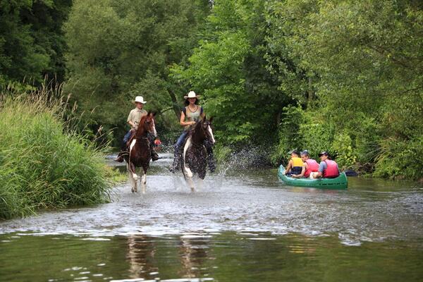 Ein Ausritt mit Pferden von Ferienreiterhfen: Die Ferienregion "Liebliches Taubertal" bietet vielfltige Freizeitangebote, auch fr Familien. 