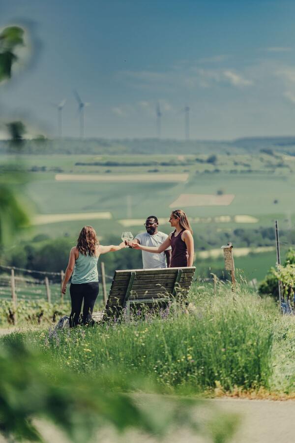 Weinliebhaberinnen und Weinliebhaber der Taubert�ler Weinkultur genie�en gemeinsam ein Glas Wein im Weinberg bei wundersch�ner Aussicht auf das Tal: In der Region k�nnen die Besonderheiten der Weinregion mit den drei Anbaugebieten verk�stigt und erlebt werden.