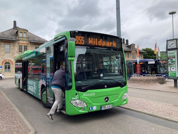 Der Wildparkbus am Bahnhof Bad Mergentheim: Anl�sslich des 50-j�hrigen Bestehens des Wildtierparks sind die Fahrten der Linie 955 am kommenden Wochenende kostenfrei. 