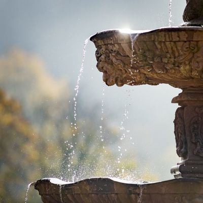 Brunnen im Abteigarten