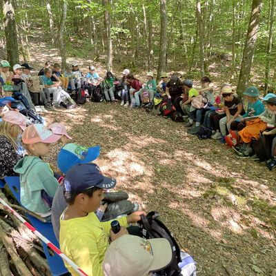 Hier ist Platz f�r alle: Das neue Waldsofa wurde von den Sch�lerinnen und Sch�lern der Schule im Schloss Untersch�pf im Rahmen einer Projektwoche erbaut, die die Natur und den Wald in den Fokus r�ckte.