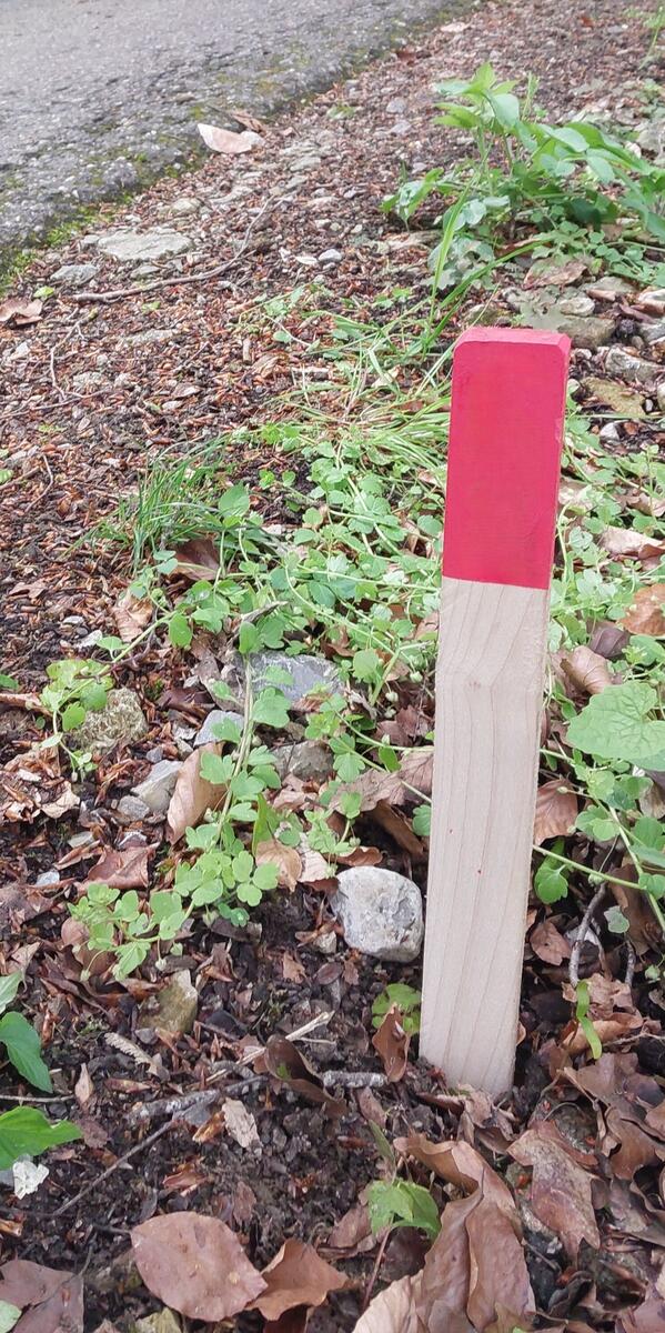 Mit gut sichtbaren Holzpflcken werden die neuen Flurstcksgrenzen gekennzeichnet.