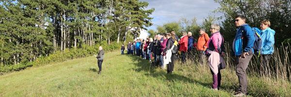 Dr. Dieter Thoma erklrt der Wandergruppe der Auftaktwanderung whrend eines Panoramaausblicks, was sich wo in Boxberg befindet. Die gefhrten Wanderungen der Taubertler Wandertage boten Einblicke in lokale Besonderheiten.