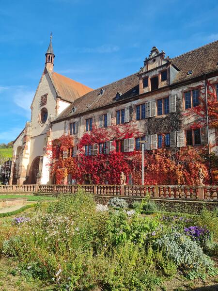Bild vergr&ouml;&szlig;ern: Dieses Foto zeigt das Kloster Bronnbach.
