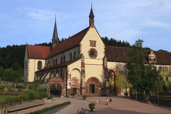 Der Tauberbischofsheimer K�nstler Gunter Schmidt bietet seit Mai zahlreiche Kunstworkshops im Kloster Bronnbach an. Au�erdem organisiert er auch Kurse unter der Leitung anderer K�nstlerinnen und K�nstler.