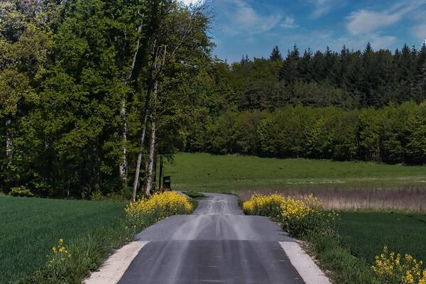 Ein Holzabfuhrweg in Grorinderfeld. Dieser wurde im Rahmen des Flurneuordnungsverfahrens Grorinderfeld (Wald) gebaut. 