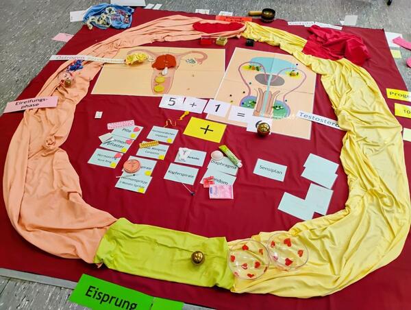 Mit anschaulichen Materialien wurden komplexe Inhalte verst�ndlich dargestellt. Das sexualp�dagogische Projekt "WaageMut" war zu Gast am Beruflichen Schulzentrum Wertheim.