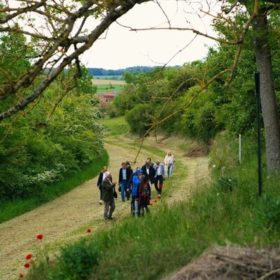 Im Gebiet des Flurneuordnungsverfahrens konnten die Teilnehmenden die Artenvielfalt bestaunen.