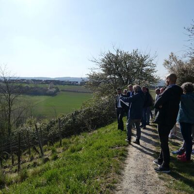 Lorenz Flad, Geschftsfhrer des KLPV, informiert zu dem Nutzungs- und Pflegeregime am Bchelberg und Edelberg. Eine Schafbeweidung sorgt hier fr die Erhaltung der Artenvielfalt.