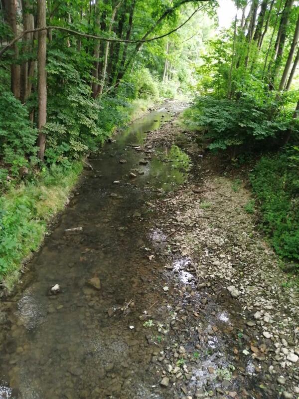Der Vorbach in Niederstetten: In Fl�ssen und B�chen wird aktuell das Wasser knapp, das Landratsamt schr�nkt deshalb die Entnahme per Allgemeinverf�gung ein.