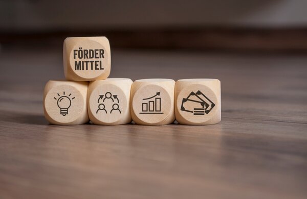 Das F�rderprogramm �Spitze auf dem Land! Technologief�hrer f�r Baden-W�rttemberg� richtet sich an innovative Unternehmen mit weniger als 100 Mitarbeitenden, die das Potenzial haben, einen Beitrag zur Technologief�hrerschaft Baden-W�rttembergs zu leisten.