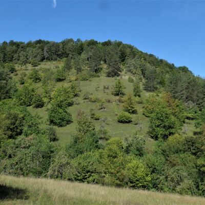 Mehlberg im Spätsommer.