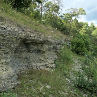 Schaumkalkbank im Naturschutzgebiet Ringelstaler-Weinhalde. 
