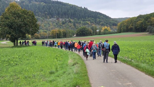 Die Taubert�ler Wandertage haben zahlreiche Interessenten angelockt:  Wanderer im Rahmen der Auftaktveranstaltung in Gamburg. 