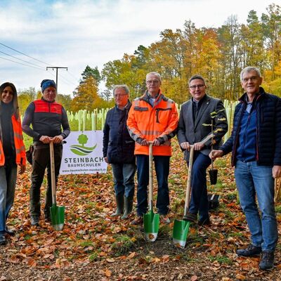 Landrat Christoph Schauder pflanzte auf einer Fl�che bei Lustbronn den letzten von rund 1200 B�umen, eine Elsbeere (von links): Hanna Kuznetsova (Projektleiterin Stra�enbauamt), Einsatzleiter Uwe Choinowski und Gesch�ftsf�hrer Peter Steinbach von den Forstbaumschulen Steinbach, Stra�enbauamtsleiter Markus Metz, Landrat Schauder und Technik-Dezernent Werner R�ger.