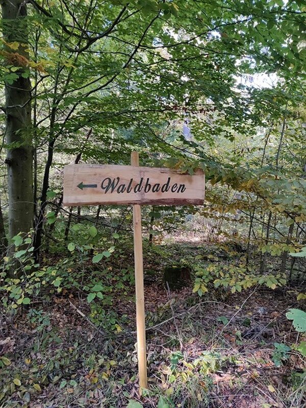 Die heilende Kraft des Waldes bewusst beim Waldbaden erleben und den Alltagsstress hinter sich lassen: Hierf�r gibt es im Lieblichen Taubertal viele M�glichkeiten.