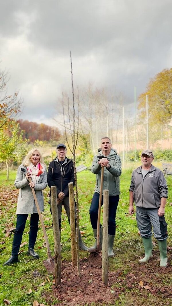 Dezernentin Ursula M�hleck, Amtsleiter Frank Mittnacht (2.v.r.) und weitere Mitarbeiter des Klosters Bronnbach pflanzten im Rahmen der Baumchallenge einen Korbiniansapfel.
