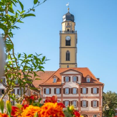 Zwillingsh&auml;user und M&uuml;nster