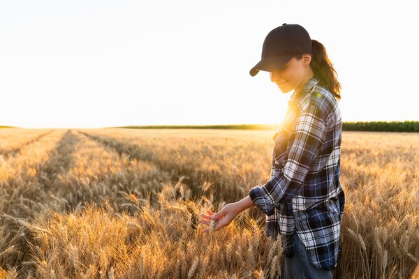 Eine Lehrfahrt f&uuml;r Frauen aus der Landwirtschaft bietet das Landwirtschaftsamt des Landratsamtes Main-Tauber-Kreis am Dienstag, 21. April, an.
