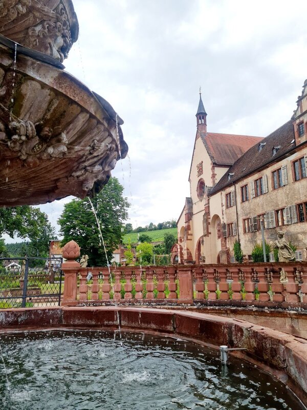 Das Kloster Bronnbach startet in die neue Saison: Ab Samstag, 14. M�rz, gelten wieder l�ngere �ffnungszeiten f�r die Besichtigung der Klosteranlage sowie f�r den Besuch des Klosterladens und der Vinothek.
