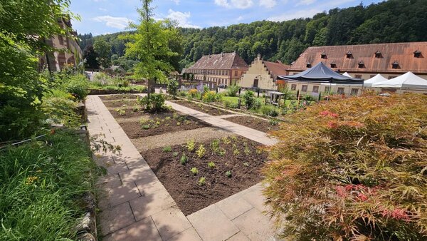 Der im Jahr 2024 neu angelegte Kr&auml;utergarten vor der Orangerie Kloster Bronnbach: Wie die Kraft von B&auml;umen und Str&auml;uchern genutzt werden kann, zeigt der Workshop "Gemmotherapie" am Sonntag, 22. M&auml;rz. 