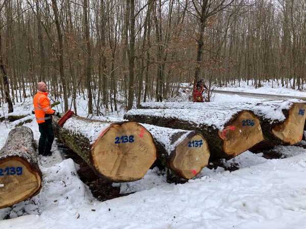 Die Mitarbeiter der Gemeinden Gr�nsfeld und Wittighausen (Frank Fuchs und Bernd Scheuermann) hatten dieses Jahr alle H�nde voll zu tun, um die St�mme w�hrend der Angebotsfrist schneefrei zu halten.