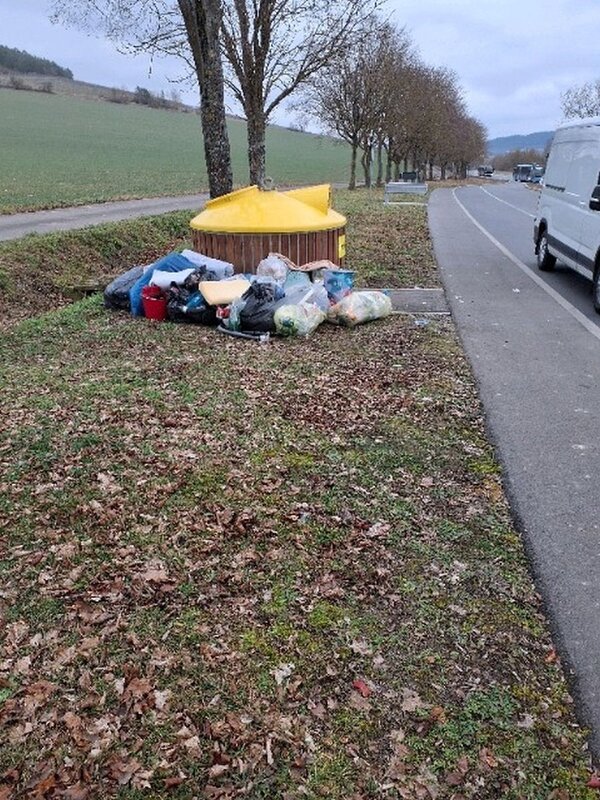 Container an der B 290 zwischen Gerlachsheim und Tauberbischofsheim mit illegal abgelagertem M�ll: Um k�nftig solche Bilder zu vermeiden, lobt der Landkreis eine Fangpr�mie f�r M�lls�nder aus. 