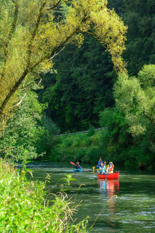 Beim Kanufahren auf dem Fluss m�ssen verschiedene Regeln beachtet werden, damit die Tier- und Pflanzenwelt nicht gest�rt hat. Das Landratsamt hat hierzu einen Flyer ver�ffentlicht und legt Wert auf einen Ausgleich zwischen den Interessengruppen.