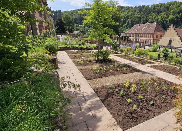 Blick auf den Kr&auml;utergarten: Das Kloster Bronnbach bietet im Mai wieder spannende Workshops an, die die Naturheilkunde mit Pflanzen und Kr&auml;utern in den Fokus setzen. 