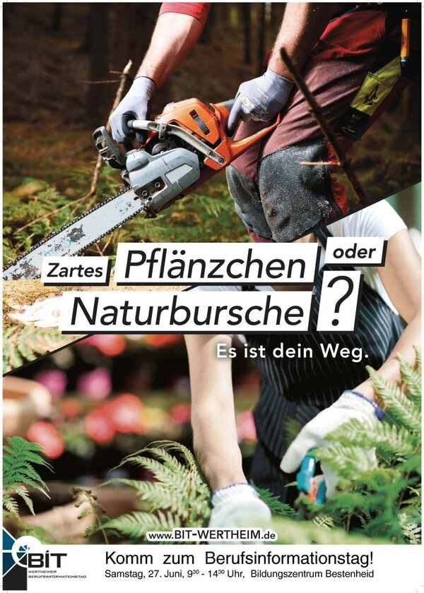 Das Berufliche Schulzentrum Wertheim, die Comenius Realschule Wertheim und die Gemeinschaftsschule Wertheim organisieren am Samstag, 27. Juni, den Wertheimer Berufsinformationstag (BIT) im Bildungszentrum Wertheim-Bestenheid.