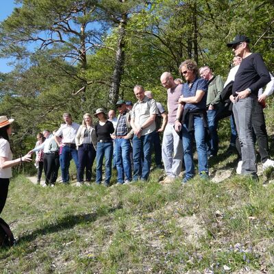 Die neue Gesch�ftsf�hrerin des Kommunalen Landschaftspflegeverbandes, Alice Craemer, hielt bei der Exkursion nach der Mitgliederversammlung einen Kurzvortrag zum Naturschutzgebiet "Haigergrund" in K�nigheim.