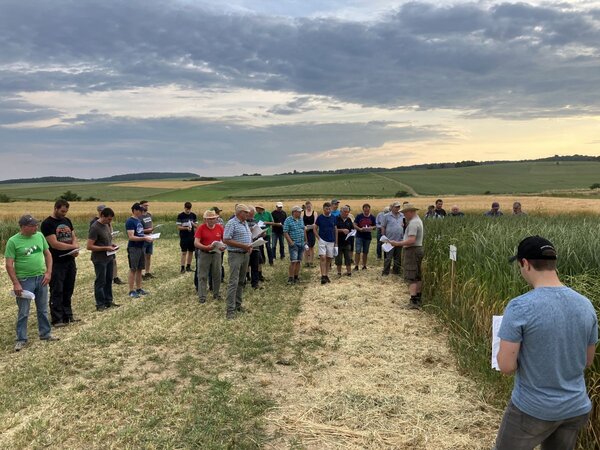 Bei den F&uuml;hrungen auf dem zentralen Versuchsfeld Boxberg-Schwabhausen im Juni k&ouml;nnen sich wieder zahlreiche Landwirtinnen und Landwirte informieren. 