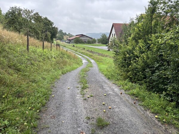 Radweg zwischen Assamstadt und Krautheim: Am Donnerstag, 18. Juni, beginnt der zweite Bauabschnitt.