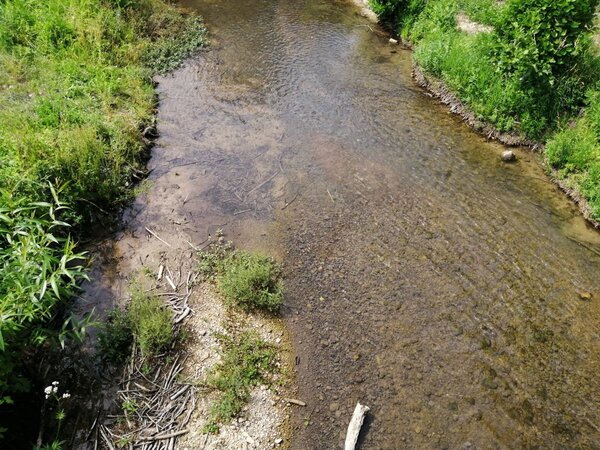 Der Wachbach unterhalb des Hochwasserr�ckhaltebeckens in Neunkirchen: In Fl�ssen und B�chen wird aktuell das Wasser knapp. Das Landratsamt Main-Tauber-Kreis schr�nkt deshalb die Entnahme per Allgemeinverf�gung ein.