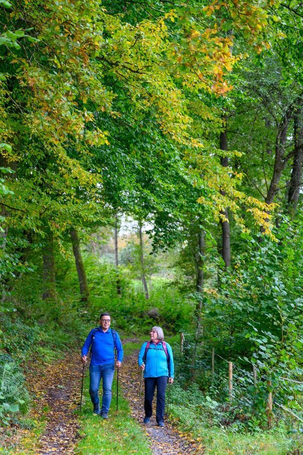 Naturgenuss rund um Gerchsheim auf dem LT 12. Insgesamt 30 Rundwanderwege laden im Taubertal ein, die Natur zu erleben und den Alltag hinter sich zu lassen.