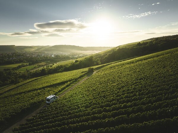 Weinberge, wie hier in Markelsheim, laden zu Genussmomenten im Taubertal ein. Vielf�ltige Informationen bietet die Brosch�re "Weingenuss im Lieblichen Taubertal".