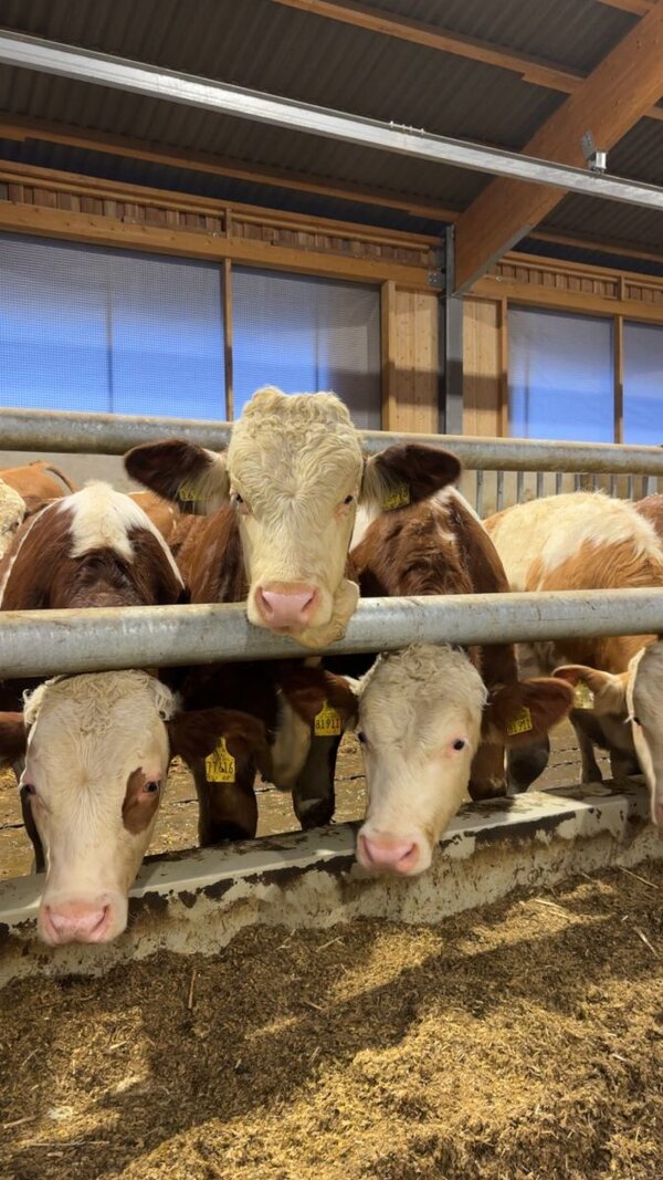 Das Landwirtschaftsamt des Landratsamtes Main-Tauber-Kreis und der Verein Landwirtschaftlicher Fachbildung Main-Tauber (vlf) bieten am Donnerstag, 10. September, ihre j&auml;hrliche Kreislehrfahrt an.