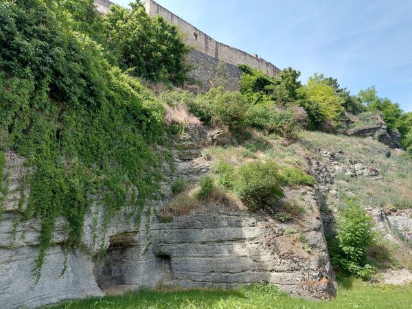 Das Foto zeigt das Naturdenkmal Schorren in Gr&uuml;nsfeld. 