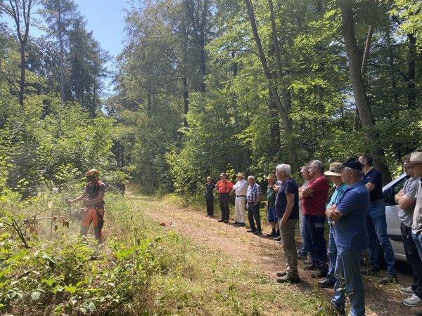 Praxisnahe Fortbildung des Forstamtes f�r Privatwaldbesitzer: Forstwirt Marco H�berlein f�hrt das Ausm�hen mit dem Freischneider vor und zeigt dabei, worauf es ankommt.