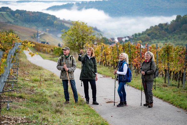 Goldene Herbstmomente: Ausfl�ge in die herbstliche Natur lohnen sich im Taubertal ganz besonders.