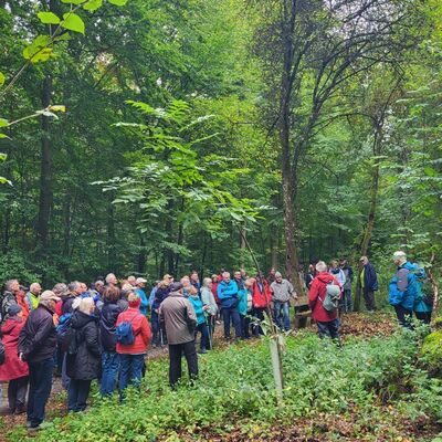 Der Wald stand im Mittelpunkt der Auftaktwanderung der Taubert�ler Wandertage. Waldp�dagoge Tobias Hornung f�hrte die Wanderfreunde durch den Stammbergwald und hatte dabei viel �ber die B�ume zu berichten.