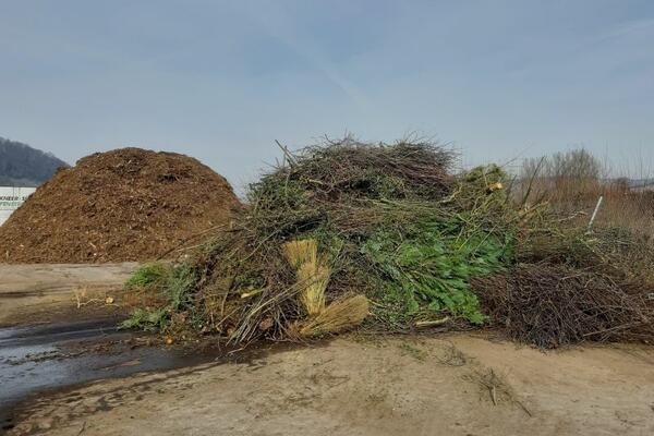 Kompostplätze, Grüngutcontainer