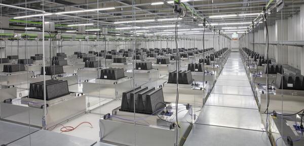 Blick in die Zwischendecke des neuen Reinraums: 120 L�fter mit Hochleistungsfiltern sorgen daf�r, dass die Luft in dem Reinraum mit 4.320 Kubikmeter Volumen 57 mal in der Stunde, also fast jede Minute, komplett ausgetauscht wird.