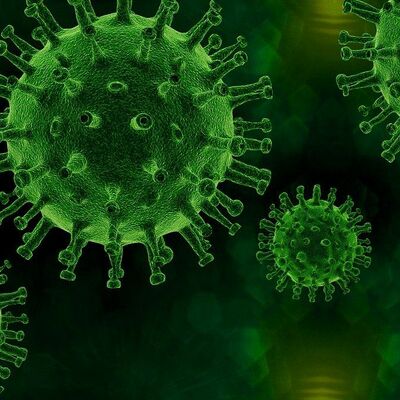 Kein neuer Fall einer Coronavirus-Infektion