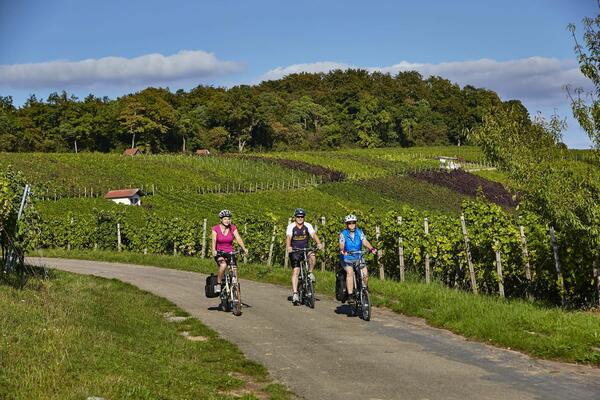 Radler am "Hohen Herrgott" in K�lsheim: In der Ferienlandschaft "Liebliches Taubertal" k�nnen zw�lf attraktive Rundradkurse genutzt werden. Diese verbinden Landschaft, Kultur sowie gastfreundliche St�dte und Gemeinden gleicherma�en.
