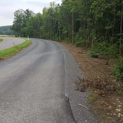 F�r den Radweg-L�ckenschluss ganz neu geschaffen wurden 250 Meter Radweg direkt entlang der K 2836. Hierf�r wurde der Wald auf einer Breite von f�nf Meter gerodet.