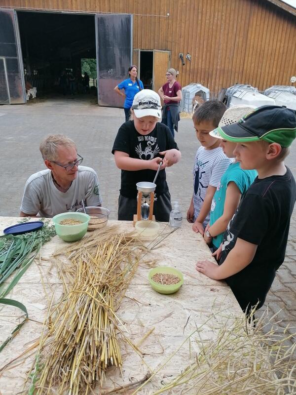 Selbst hergestellte Haferflocken schmeckten den Kindern besonders gut.