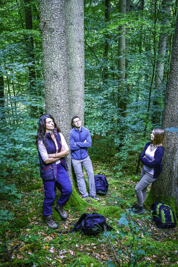 Teilnehmerinnen und Teilnehmer einer Waldbaden-Tour beim Innehalten und Kraft schöpfen: Der Tourismusverband "Liebliches Taubertal" hat sein bisheriges Angebot um den Trend Waldbaden erweitert.