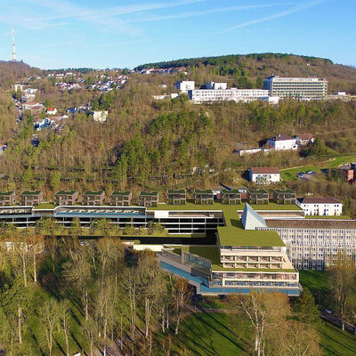 In nachhaltiger Bauweise, ausgehend vom sanierten Parkhotel und mit viel Holz und Grün, fügt sich MediSpa mit Dachterrasse, Chalets, Parkdecks und kleinen Lodges harmonisch in den Hang oberhalb des Kurparks ein. Das jetzige Betriebsgebäude mit Abfüllanlage, Heizwerk und Schornstein verschwindet.